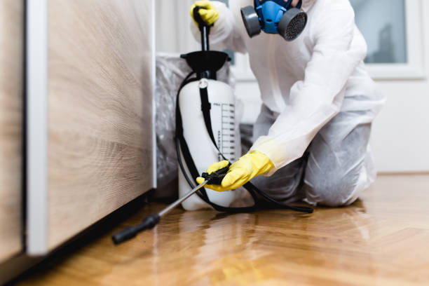 Best Pest Inspection Near Me  in Bottineau, ND