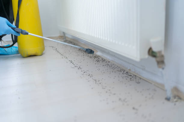 Best Pest Removal Services  in Bottineau, ND
